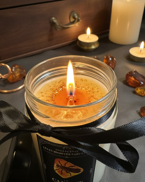 Bougie Le Cabinet D'Ambre